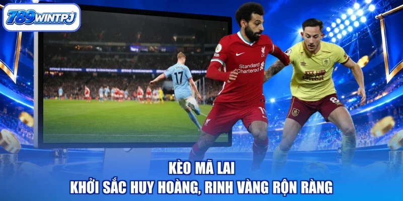 Kèo Mã Lai - Khởi Sắc Huy Hoàng, Rinh Vàng Rộn Ràng