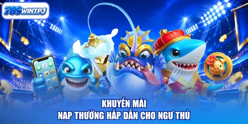 Khuyến mãi nạp thưởng hấp dẫn cho ngư thủ