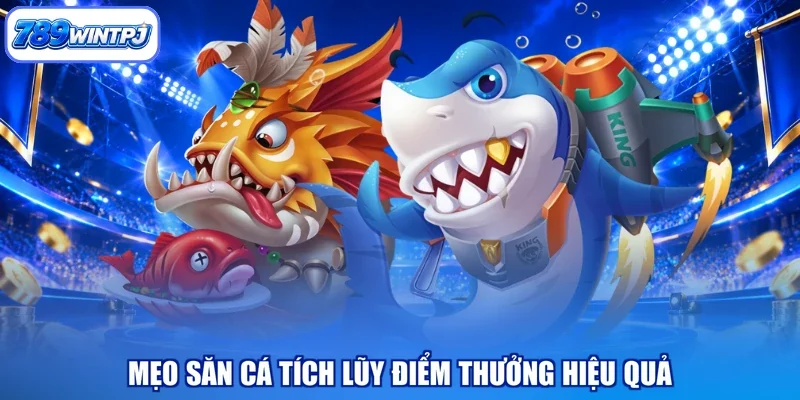 Mẹo săn cá tích lũy điểm thưởng hiệu quả