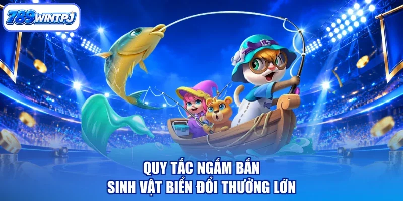 Quy tắc ngắm bắn sinh vật biển đổi thưởng lớn