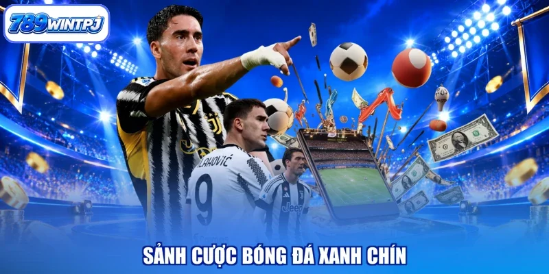 Sảnh cược bóng đá xanh chín